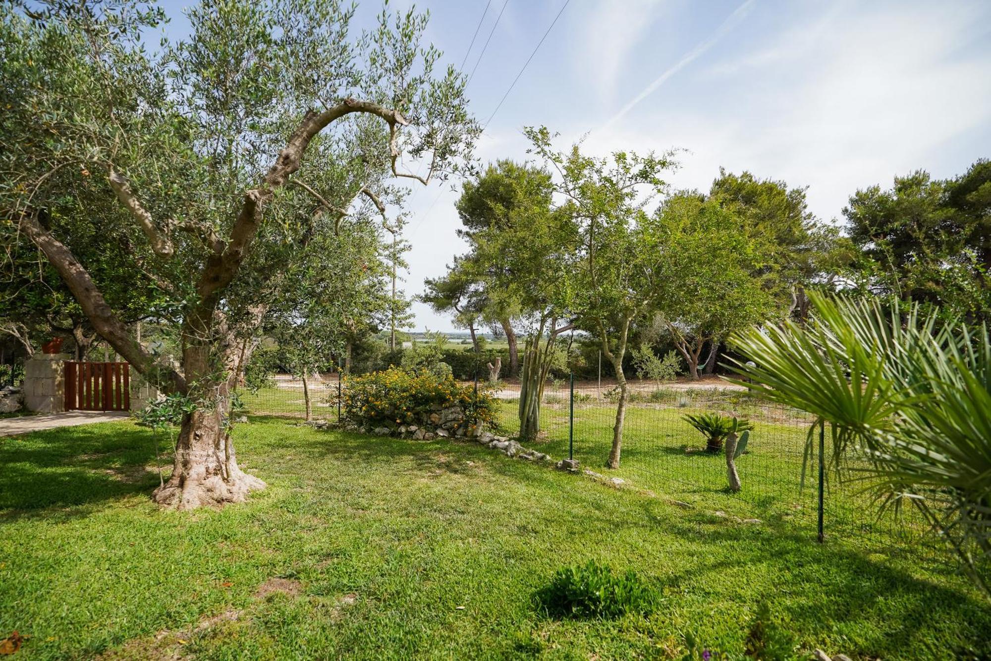 Casa Vacanza Russo Fernando Alimini Buitenkant foto